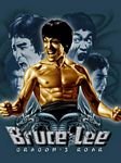 pic for bruce lee